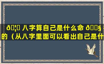 🦆 八字算自己是什么命 🐧 格的（从八字里面可以看出自己是什么命）